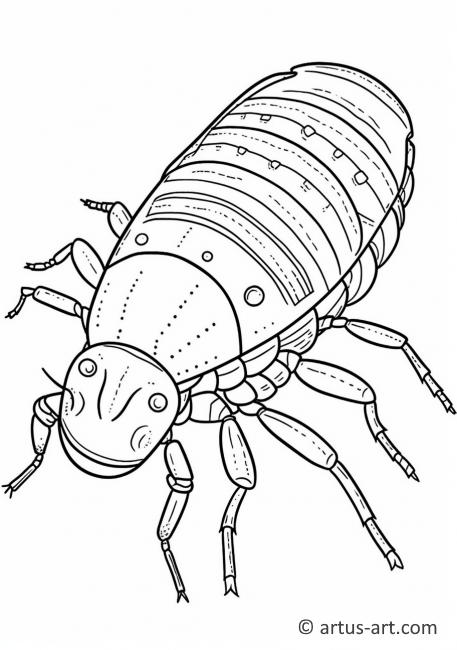 Silverfish Coloring Page For Kids